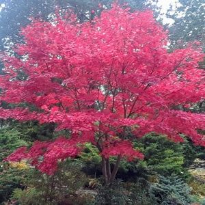 Meet your Posher, Rita